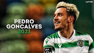 Pedro Gonçalves 2021  Magic Skills Goals amp Assists  HD [upl. by Ioves]