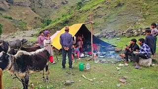 Nepal Mountain Village Life  Buffalo Shepherds Life  Shepherds Food  Rural Life in Nepal [upl. by Inirt338]