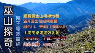 「巫山」探奇魔王等級路線順賞黃金山毛櫸地毯滿月圓出發經興農橋、組合山、樂佩山到達巫山山高高路遙遙好刺刺沿路刺籐、困難地形相伴FP1751 [upl. by Renmus]