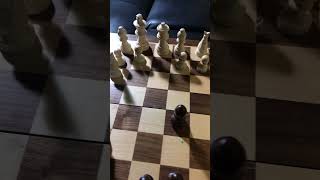 Soller gambit chess [upl. by Adnawuj271]