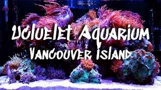 Ucluelet Aquarium on Vancouver Island  A Catch amp Release Aquarium  Plus BONUS CONTENT at End [upl. by Zerla]