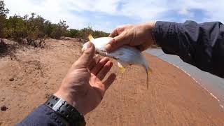 Port Hedland Fishing 1 [upl. by Akiemaj879]