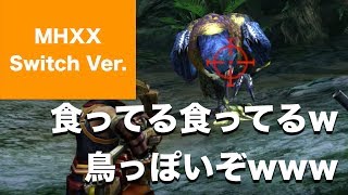 【モンハン ダブルクロス Part4】緊急クエスト、ホロロホルル。なぜ捕獲に失敗したのかを知りたい（村クエ★4／幻惑の魔術師／ニンテンドー・スイッチ） [upl. by Farwell]