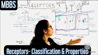 CNS Receptors Classification Properties of Receptors DrBhakti Kharate mbbs cns neet [upl. by Jehu]