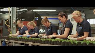 Vireõ plant sales  company movie Nederlands [upl. by Ylrbmik304]