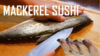 How to Fillet Mackerel and Make Sushi amp Sashimi  鲭鱼寿司  まさば寿司 [upl. by Orelee]