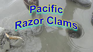 2024 Pacific Razor Clamming [upl. by Llenrad600]