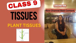 Meristematic Plant Tissues  Class 9 Tissues Apical Lateral and Intercalary Plant Tissues class 9 [upl. by Nirek978]