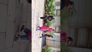 🥰 lasa lasa song danced2d dance Academy Wayanad [upl. by Jezabelle]