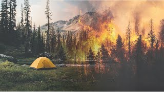 How to Survive in the Wilderness Staying Fed amp Hydrated During Fire Season [upl. by Ditter]