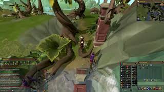 RS3 Anachronia Agility Course [upl. by Neesay]