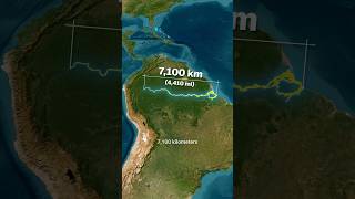 Why The Amazon River Has No Bridges 🤯 One of the Worlds Longest Rivers 🌊 [upl. by Ardnassela28]