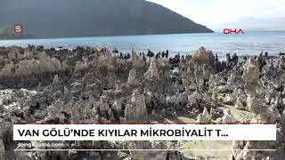 Van Gölünde kıyılar mikrobiyalit tarlasına döndü [upl. by Enialb625]