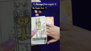 Message from dear angels ✨😇 thepurpletarot [upl. by Kelula]