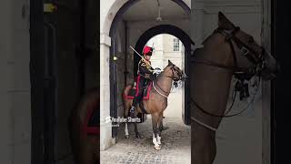 3 guards stay on their horses royalguards [upl. by Ymarej]