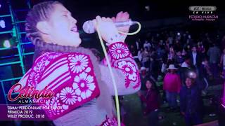 ►CELINDA ALMANACIN ►Perdóname Por Favor  Willy Producciones 2018 [upl. by Oberheim]