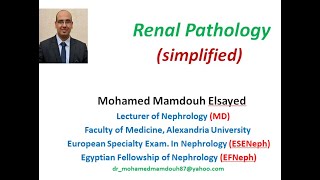 Renal pathology simplified [upl. by Ardnoel]