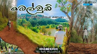 Bellwood Sri Lanka බෙල්වූඩ් පුංචි නවසීලන්තයටVlog 5 [upl. by Dory386]