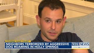 Neighbors terrorized by aggressive dog roaming in Holly Springs [upl. by Shurlock]