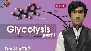 Glycolysis Part 1  Carbohydrates metabolism  Biochemistry by Zaa MedTalk [upl. by Eiznikam]