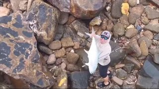 This Fish is Giving me a Hard Time  Nightcliff Jetty  Darwin Fishing [upl. by Starkey344]