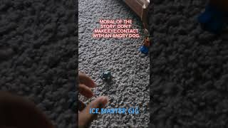 Lego meme meme legomeme dogmeme edit trending [upl. by Adnamal]