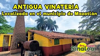 Visita a una vinatería artesanal localizada al norte del municipio de Mazatlán [upl. by Fredie132]