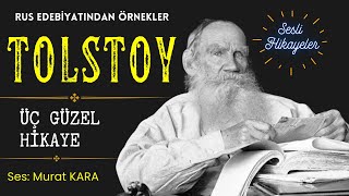 Tolstoy  Seçilmiş Hikayeler  Rus Edebiyatından Sesli Kitaplar [upl. by Care]