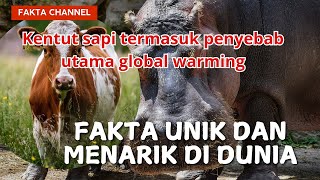 FAKTA UNIK DAN MENARIK DI DUNIA Kentut sapi termasuk penyebab utama global warming [upl. by Nidak]