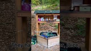 Drinks station at Forest 😱 germanvillagelifeshortscultureshockyoutubeshortskannadavlogs [upl. by Parris]