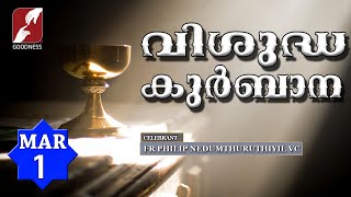 HOLY MASS LIVE  6 AM 01 MAR 2024FR PHILIP NEDUMTHURUTHIYIL VCMALAYALAM QURBANATODAYGOODNESS TV [upl. by Thorny340]