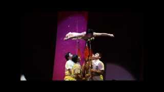 The Peking Acrobats® in 30 Seconds [upl. by Hillard]