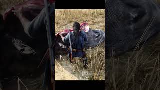 A Day Of Hunting With Charles Smith  Red Dead Redemption 2 charlessmith rdr2 rdrgameplay [upl. by Enimaj]