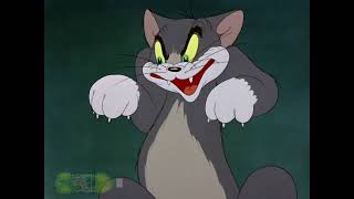 Tom amp Jerry Harry E Lang Cat Screeches 19391946 [upl. by Eivlys]