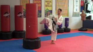 Warren Levi Karate  Mawashi Geri Round house Kick [upl. by Eirdua]