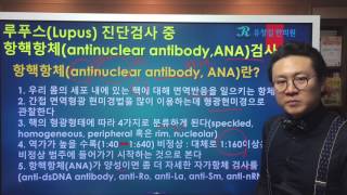 루푸스Lupus 진단검사 중 항핵항체antinuclear antibodyANA [upl. by Einnod]