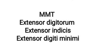 MMT Finger metacarpophalangeal extension [upl. by Anaicul175]