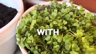 How I Use Sulforaphane [upl. by Swayne]