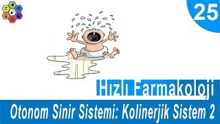 OTONOM SİNİR SİSTEMİ KOLİNERJİK SİSTEM 2  Hızlı Farmakoloji 25 [upl. by Drucy]