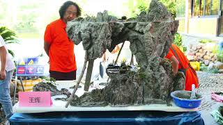 Creating amazing Landscape Bonsai [upl. by Earised141]