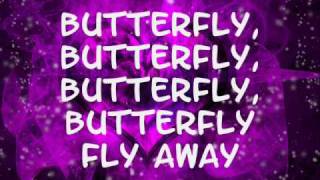 Miley Cyrus Butterfly fly away lyrics [upl. by Nohsid]