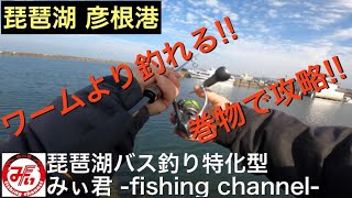 【琵琶湖バス釣り】彦根港を巻物で攻略する‼️ [upl. by Vinay246]