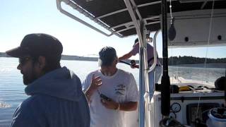 St Andrews Sport Fishing Co Island Quest Marine  Shark Fishing  Huge Porbeagle Sharks [upl. by Hallutama]