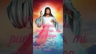 Escucha pueblo mío mi enseñanza🙏💖🕊 amor video shortsbeta shortvideo shortsfeed shorts fe [upl. by Nallac672]