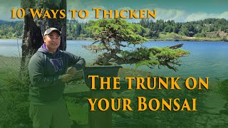 10 Ways to increase the size of your Bonsai Trunks [upl. by Netsyrc]