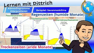 Klimadiagramme interpretieren  Beispiel Savannen [upl. by Hopkins157]