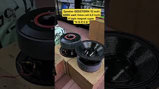 INSANE Speaker GEOSTORM 15inch Review speaker dj [upl. by Atined642]