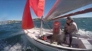 Mirror dinghy vs foiling Waszp [upl. by Veronika]