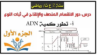 تطور كمية ADN خلال الانقسام المنصف والإلقاح مثال بسيط 🎯سنة 2 ع ت ر [upl. by Brightman]