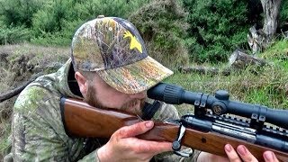 waikarimoana Hunting Fallow deer with 223 rifle neck shot for venison in New Zealand  199 [upl. by Amocat]